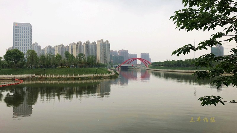P01.jpg
