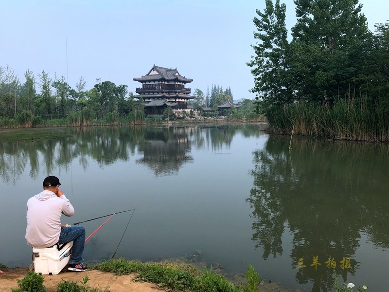 P09.jpg