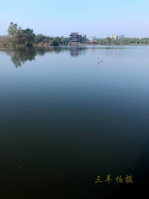 P12.jpg