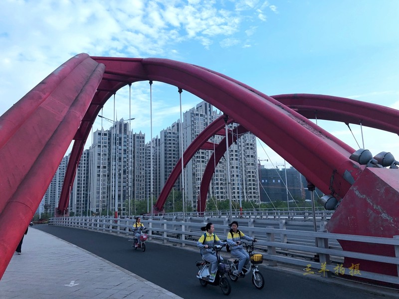 P13.jpg
