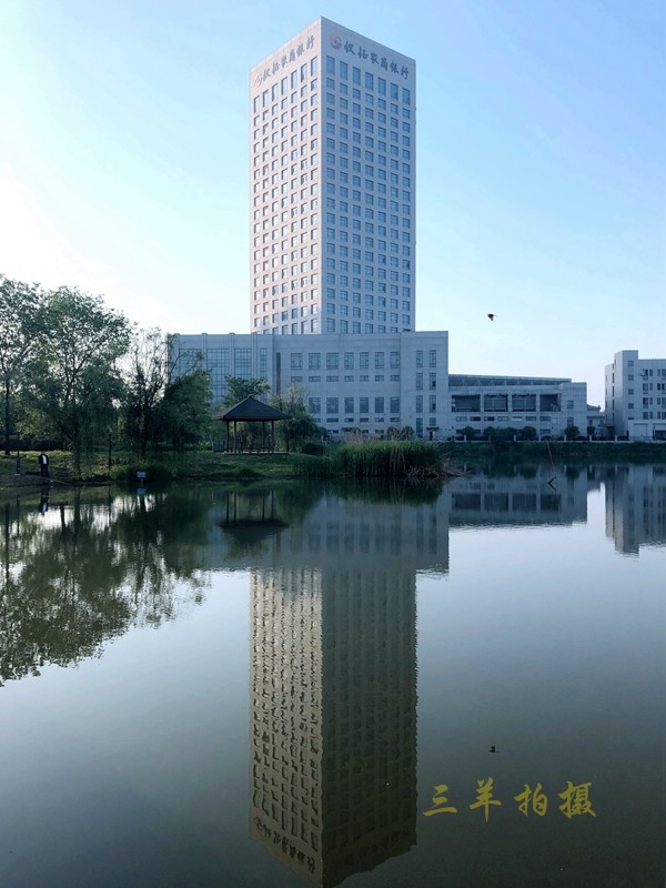 P11.jpg