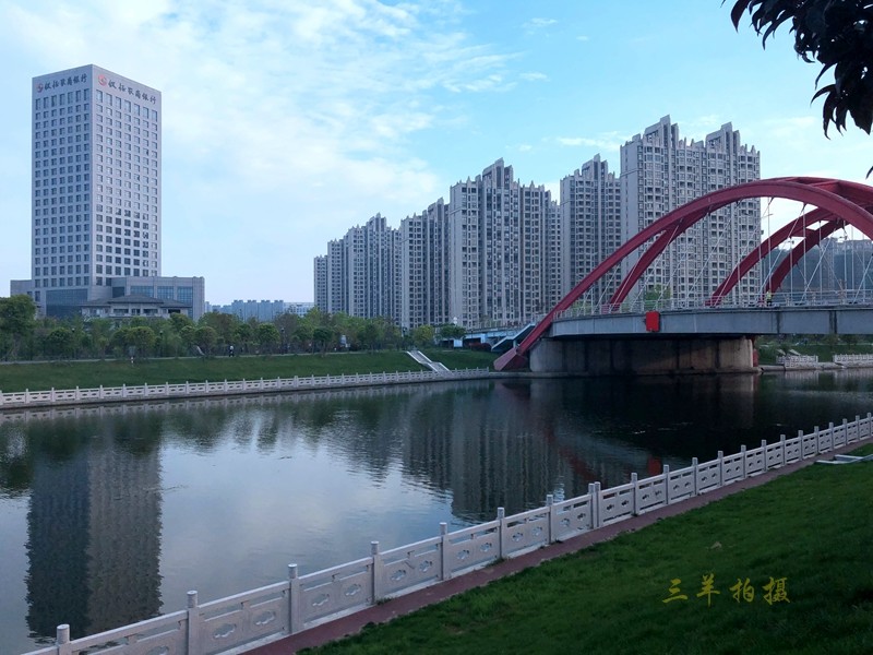 P15.jpg