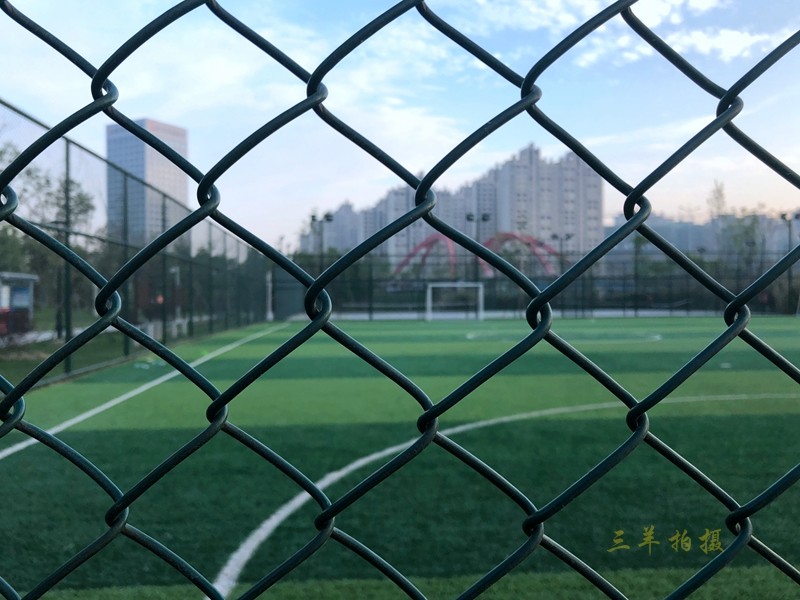 P16.jpg