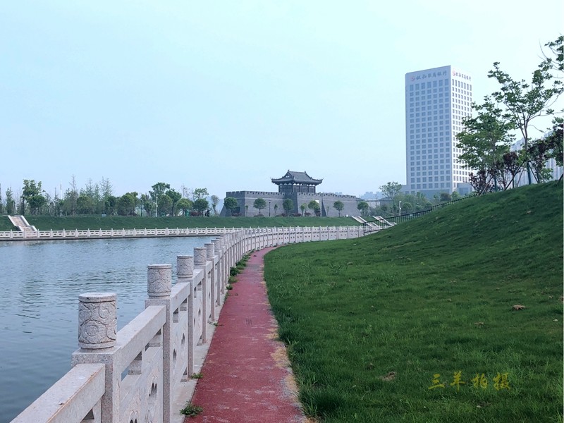 P19.jpg