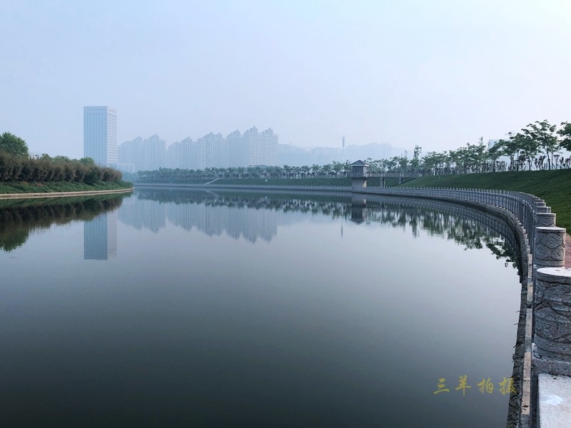 P20.jpg
