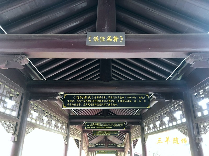 P17.jpg