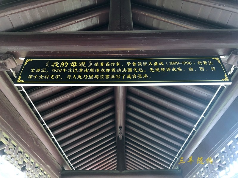 P18.jpg