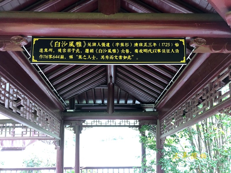 P23.jpg
