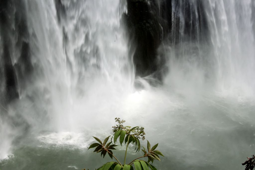 IMG_9446_副本.jpg