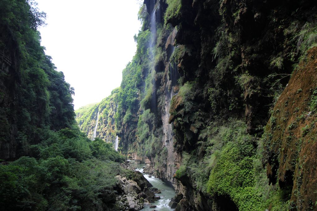 IMG_9705_副本.jpg