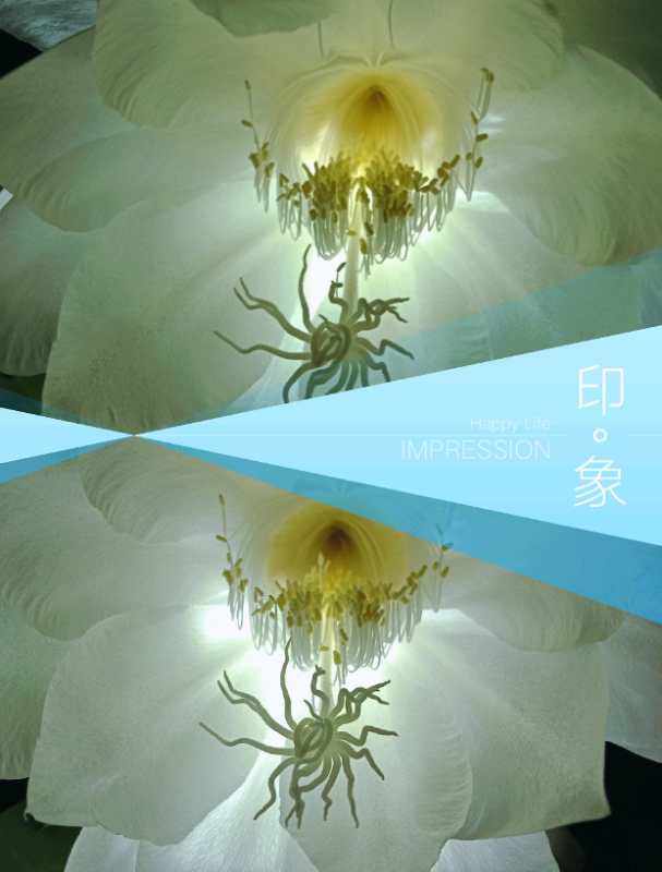 微信图片_20180607110434.jpg