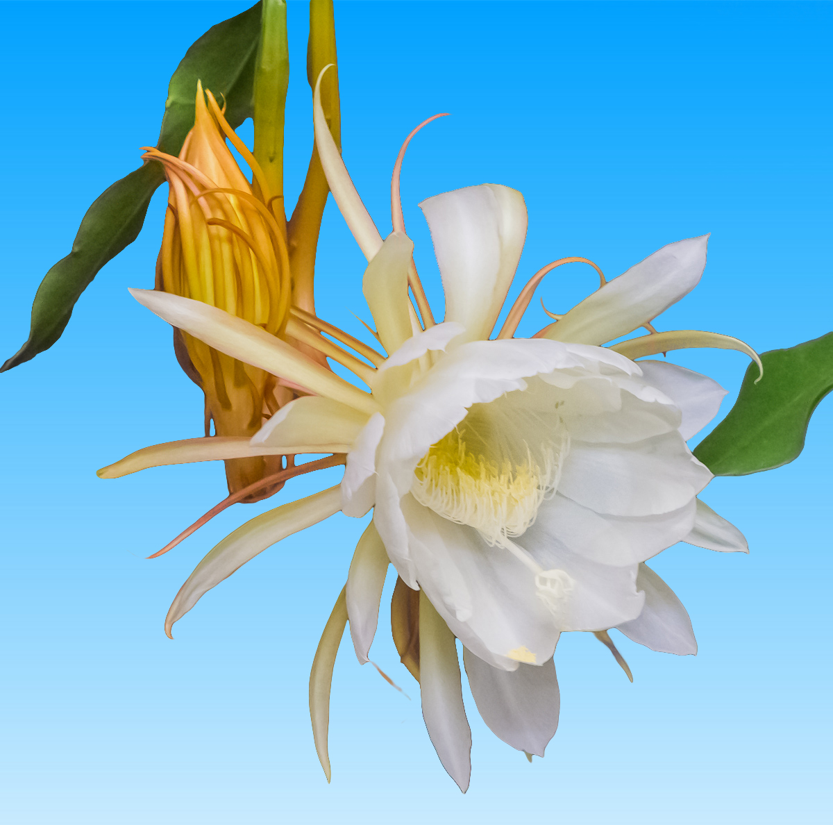 DSC07500.jpg