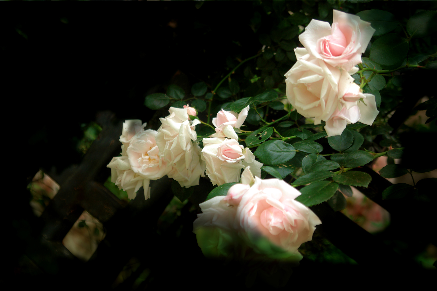 DSC04360 副本1.jpg