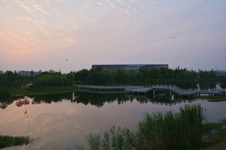 _DSC8055.JPG
