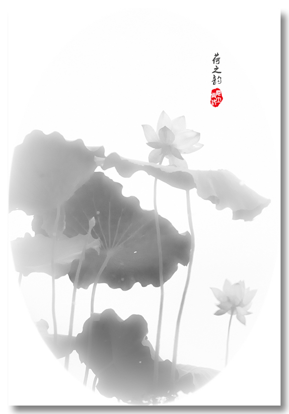 未标题-1.jpg