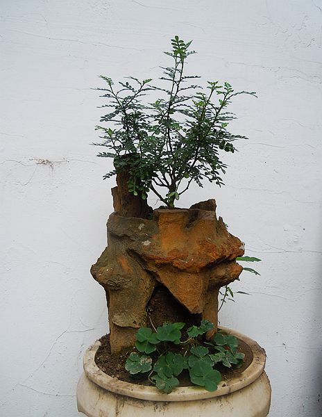 DSCN2693.JPG