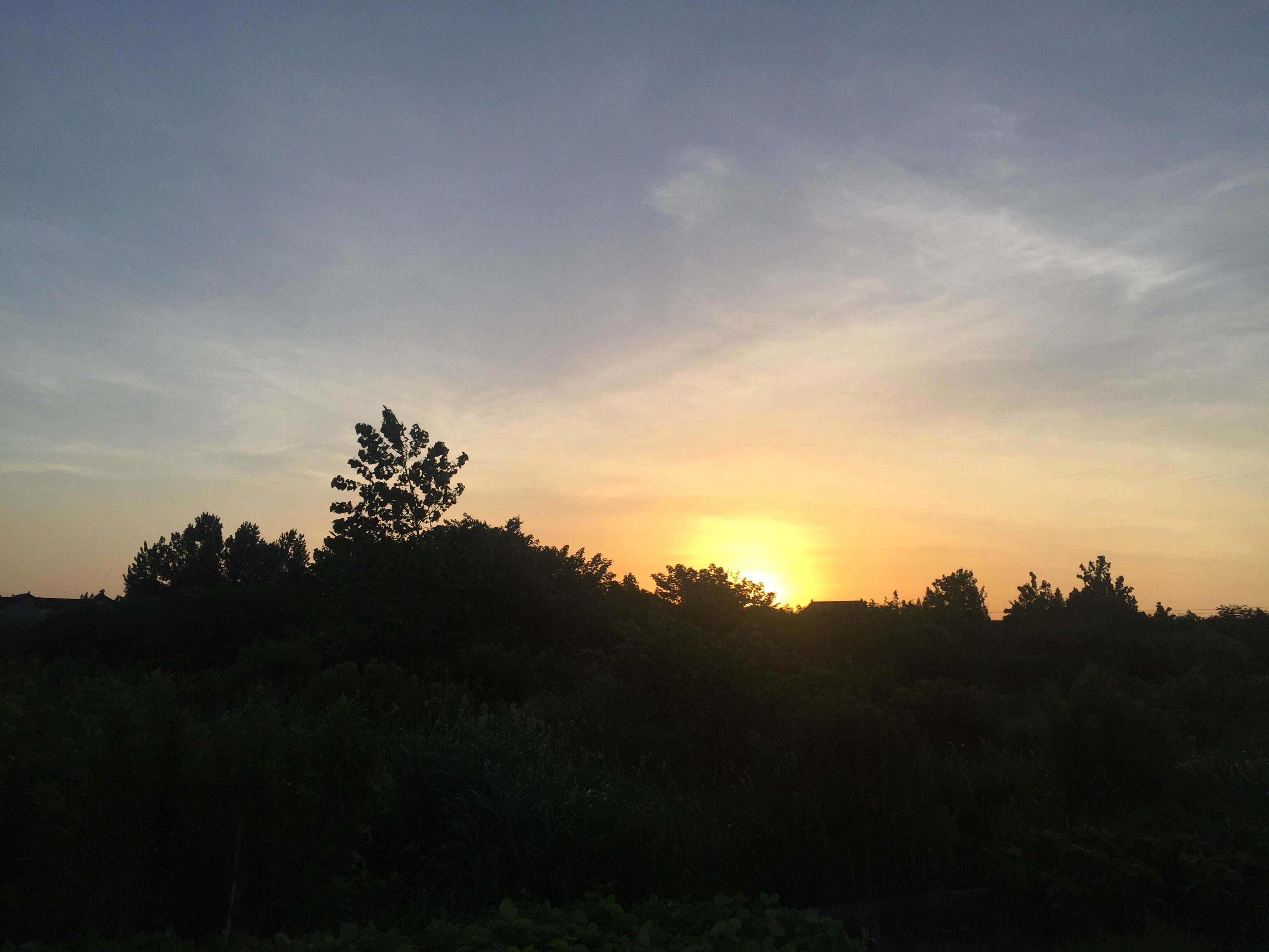 16FE4D6F-B21B-4811-BA9F-61019312C73B.jpeg