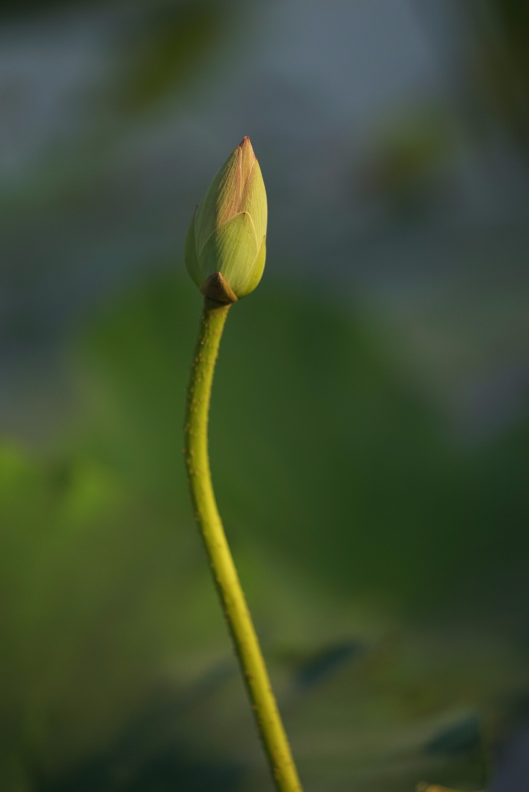 DSC03224.JPG