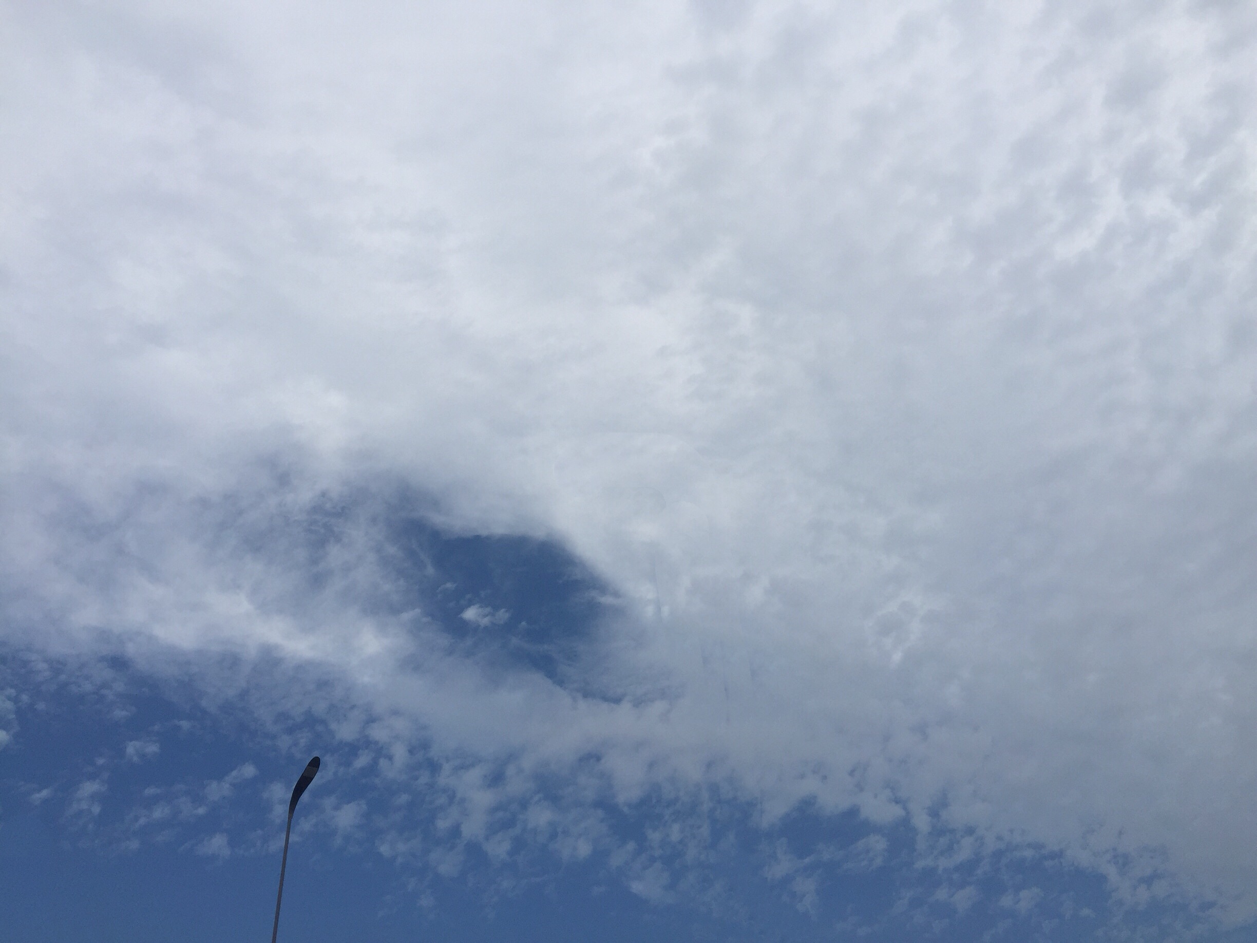014ACB9C-16B5-4ED7-8CEB-13C656623BC9.jpeg