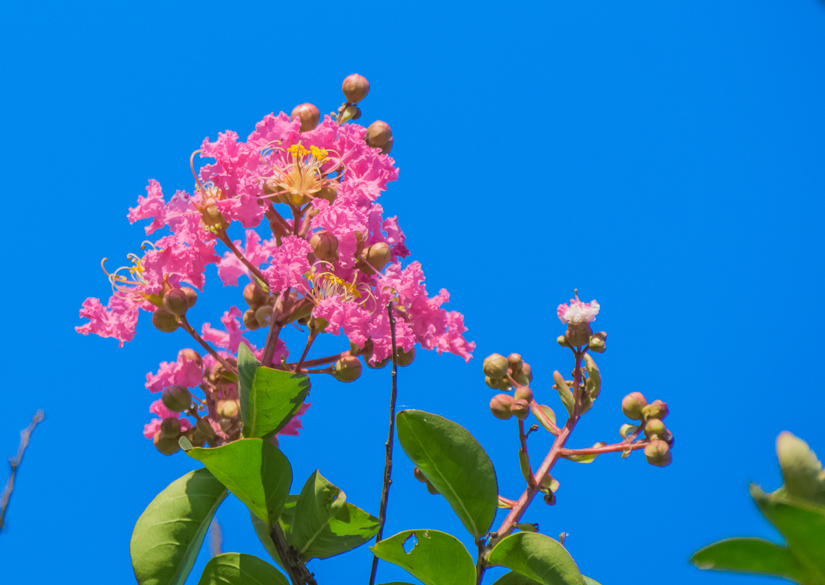 DSC08380.jpg