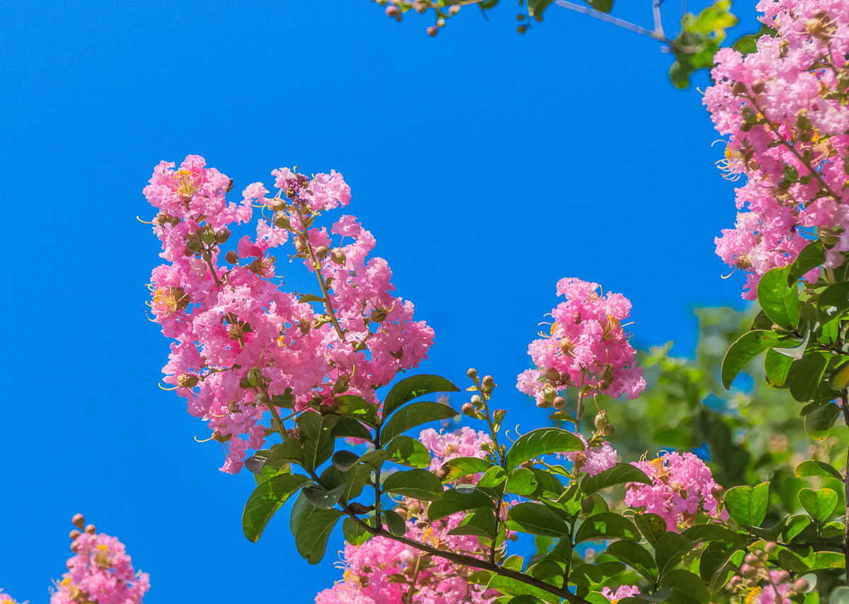 DSC08406.jpg