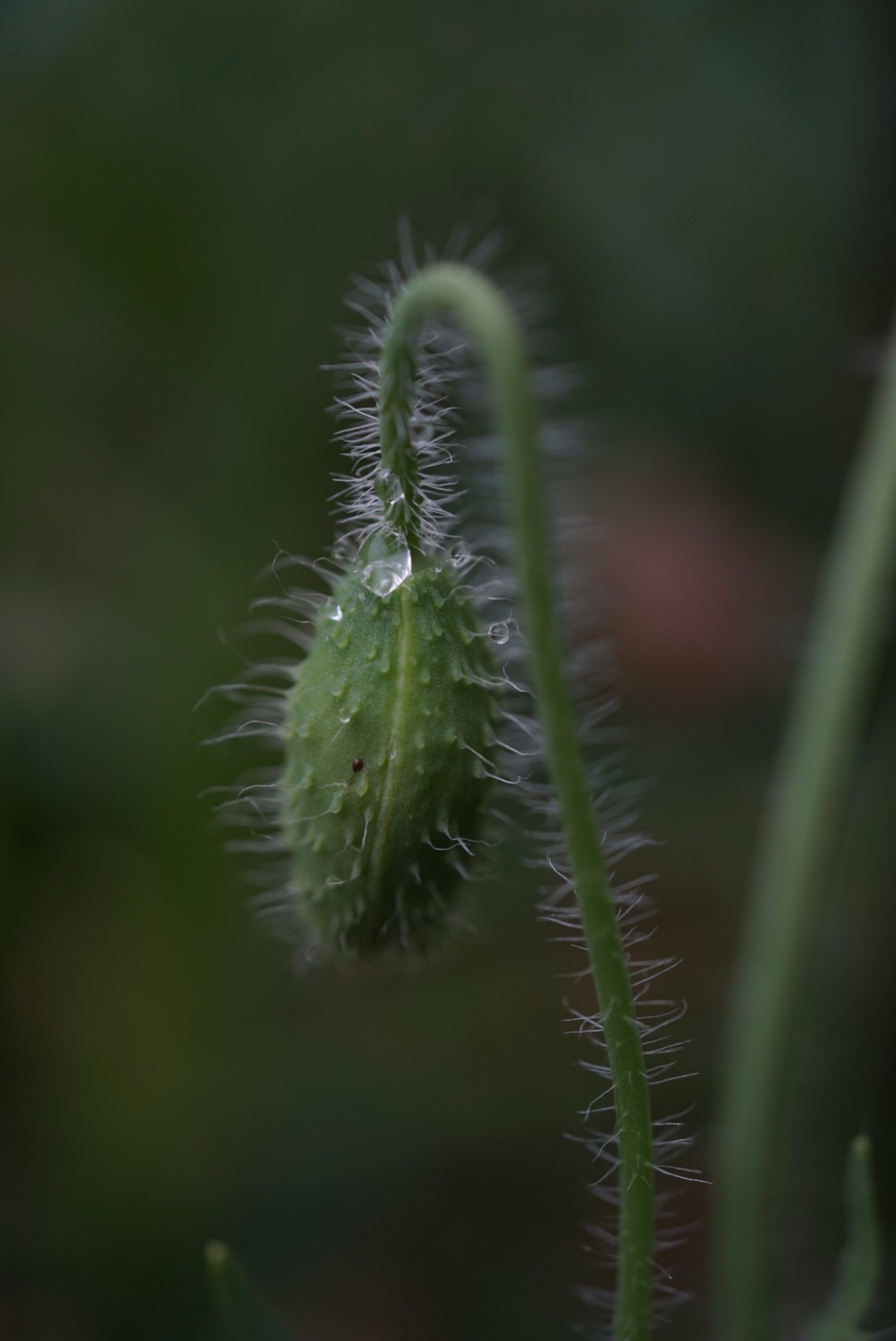 DSC03043.JPG