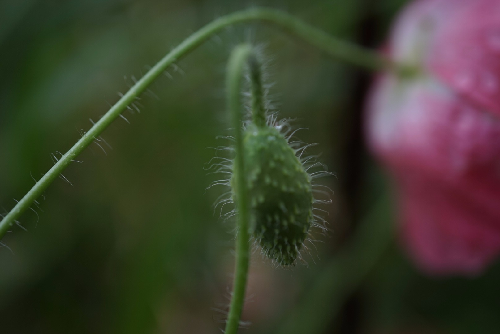 DSC03041.JPG