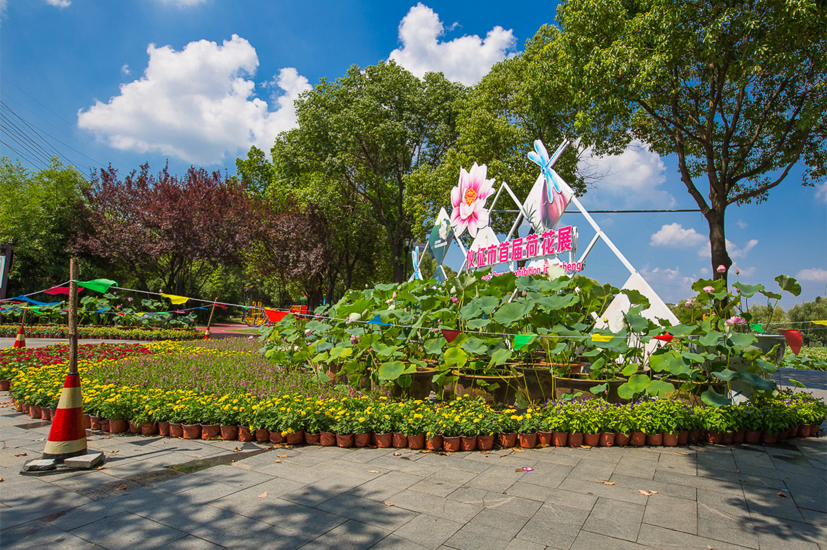 4G7A8411.jpg