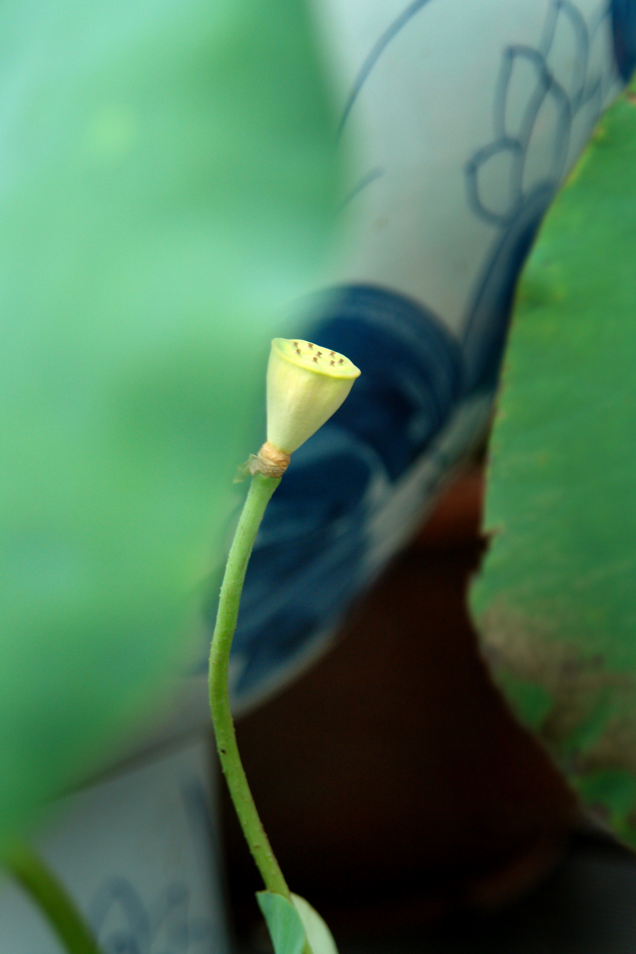 DSC05293.JPG