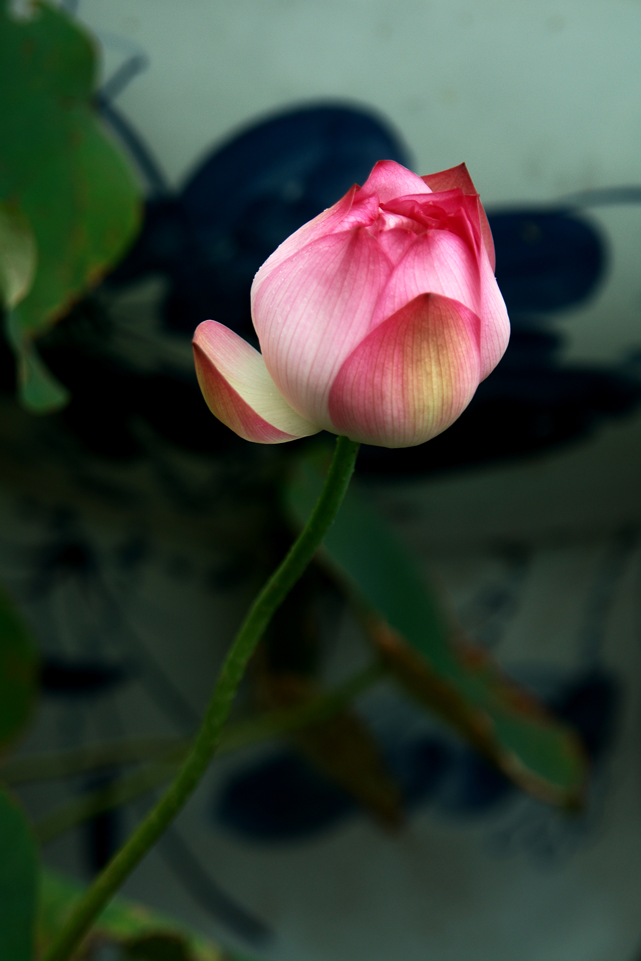 DSC05302.JPG