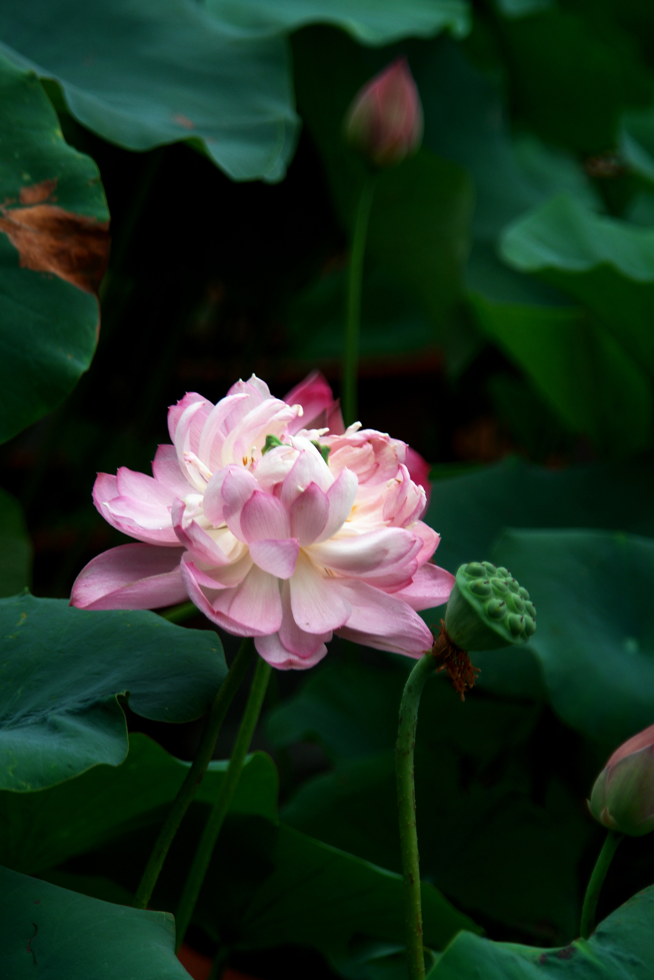 DSC05304.JPG