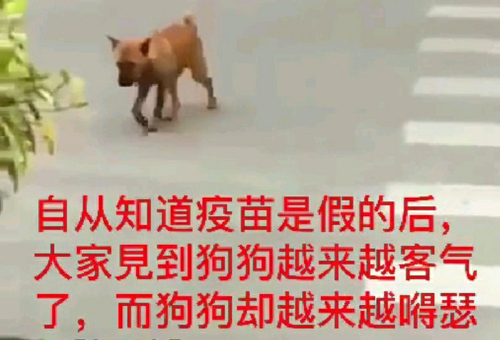 5c6034a85edf8db1aff466bd0523dd54574e7414.jpg