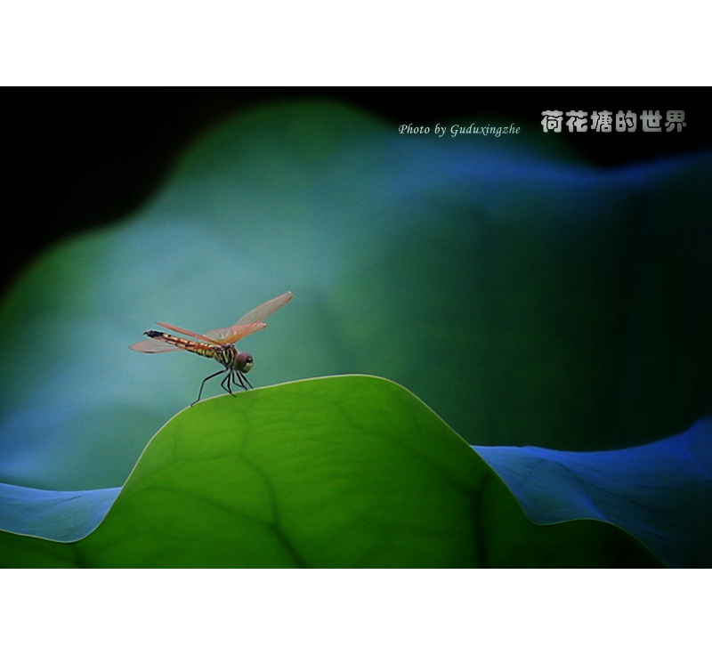 IMG_0026_副本-01.jpeg