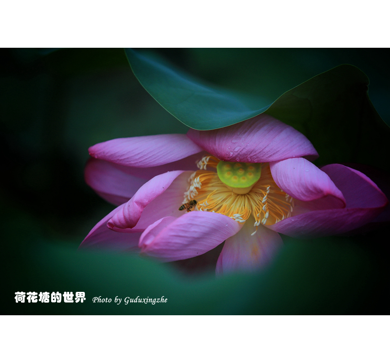 IMG_0158_副本-01_副本.jpg