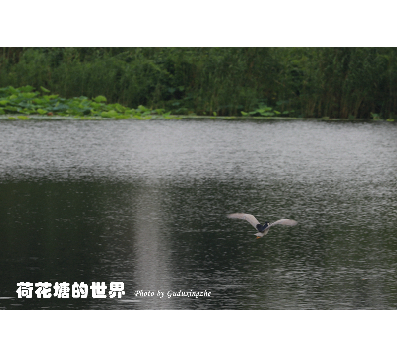 IMG_0111_副本.jpg