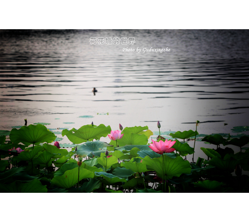 IMG_0699-01_副本.jpg
