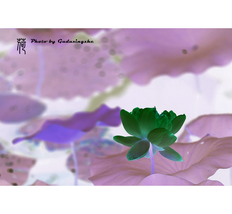 IMG_0053_副本.jpg