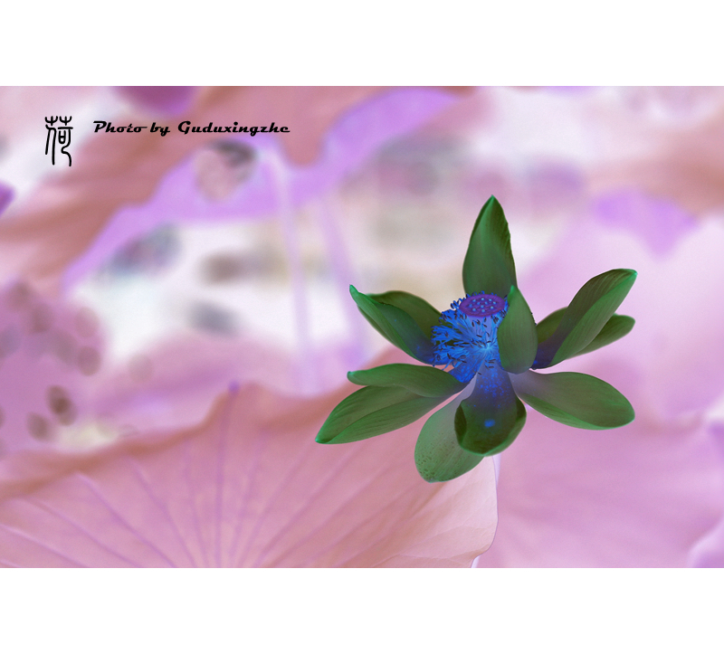 IMG_0087_副本1.jpg
