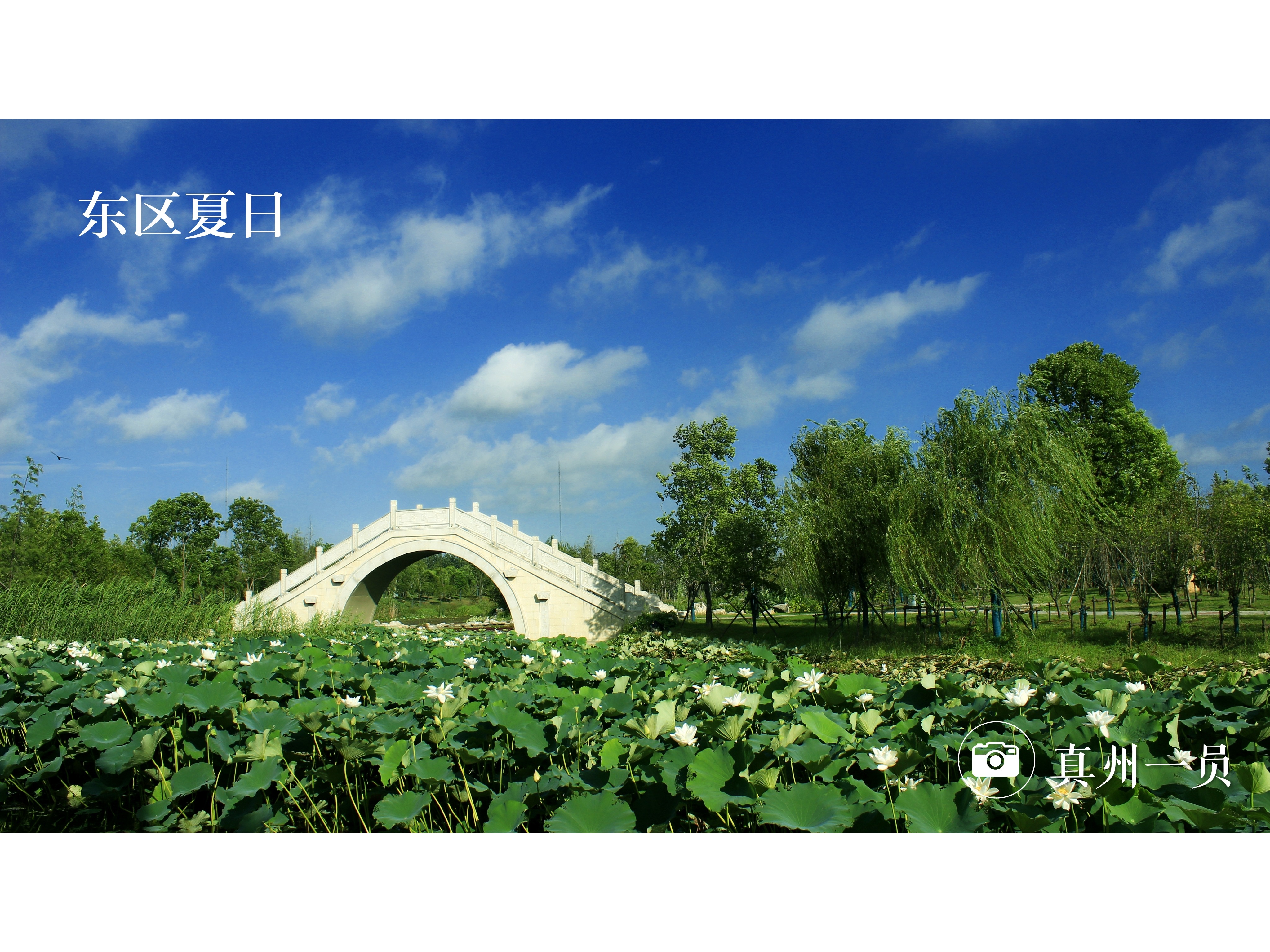 _MG_5842_mix01.jpg