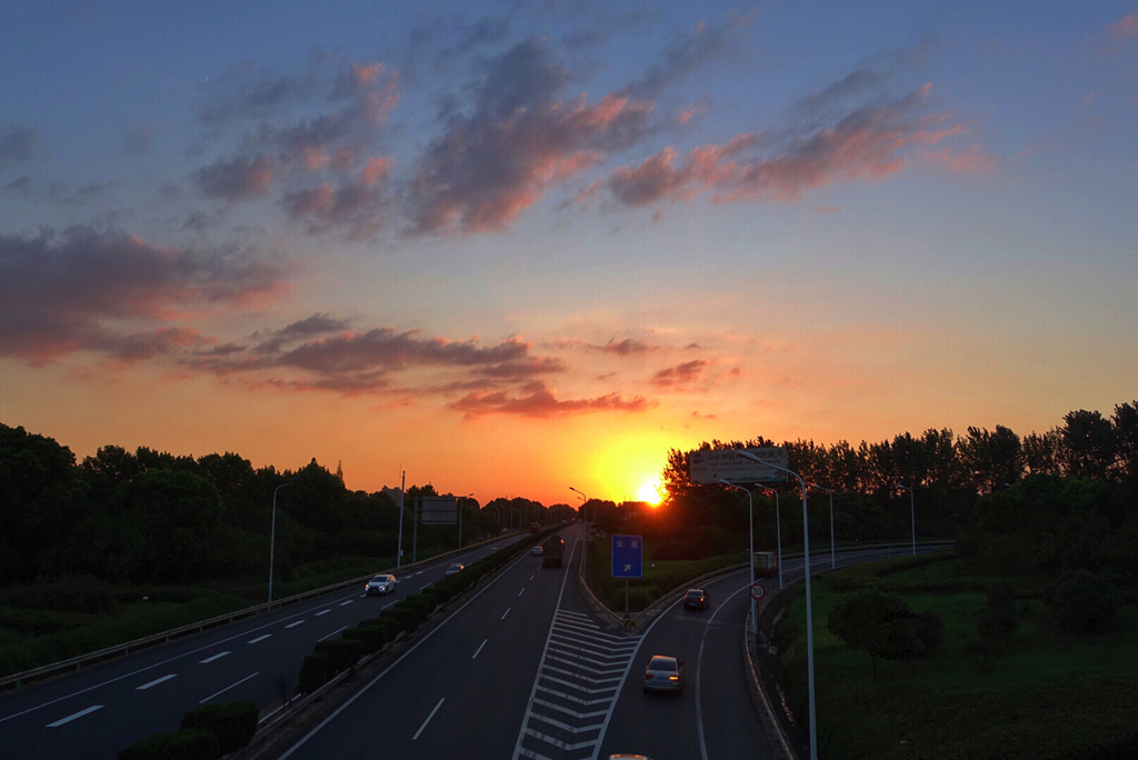 IMG_5904.jpg