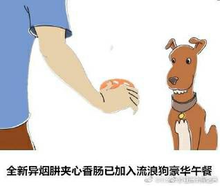 dfc0b812c8fcc3ce5f6975059f45d688d53f20af.jpg