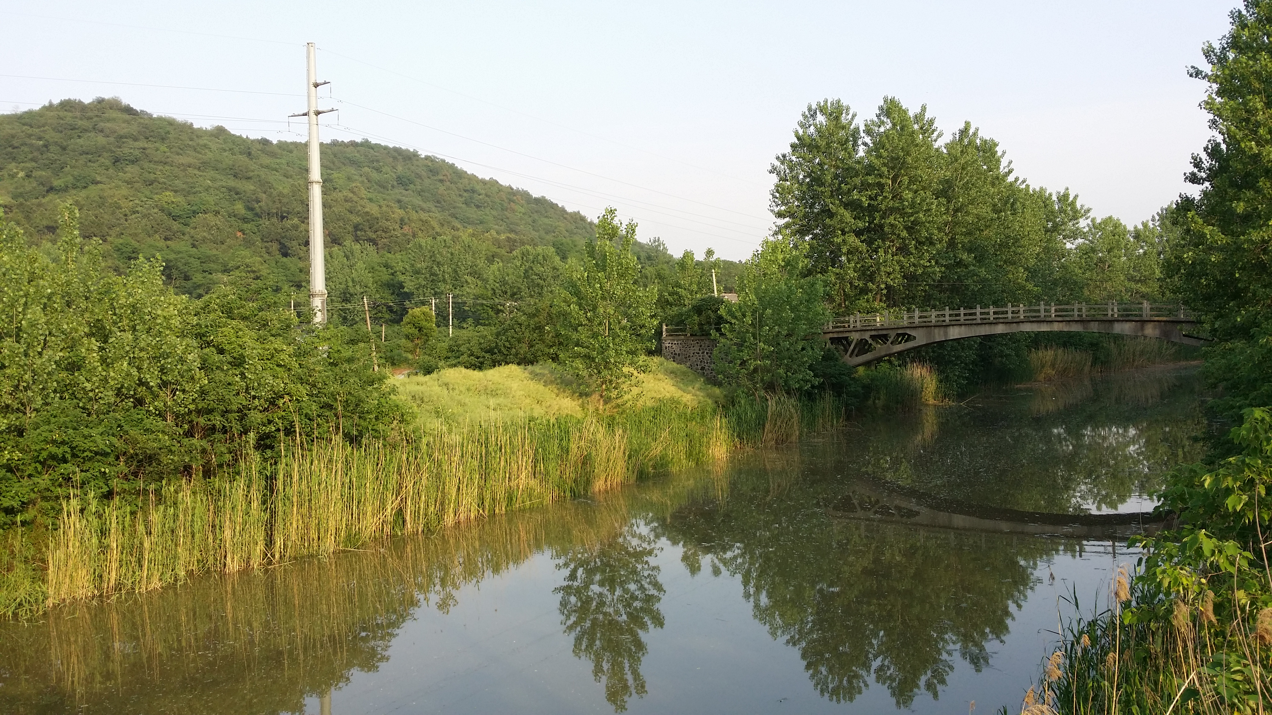 铜山西侧胥浦河.jpg
