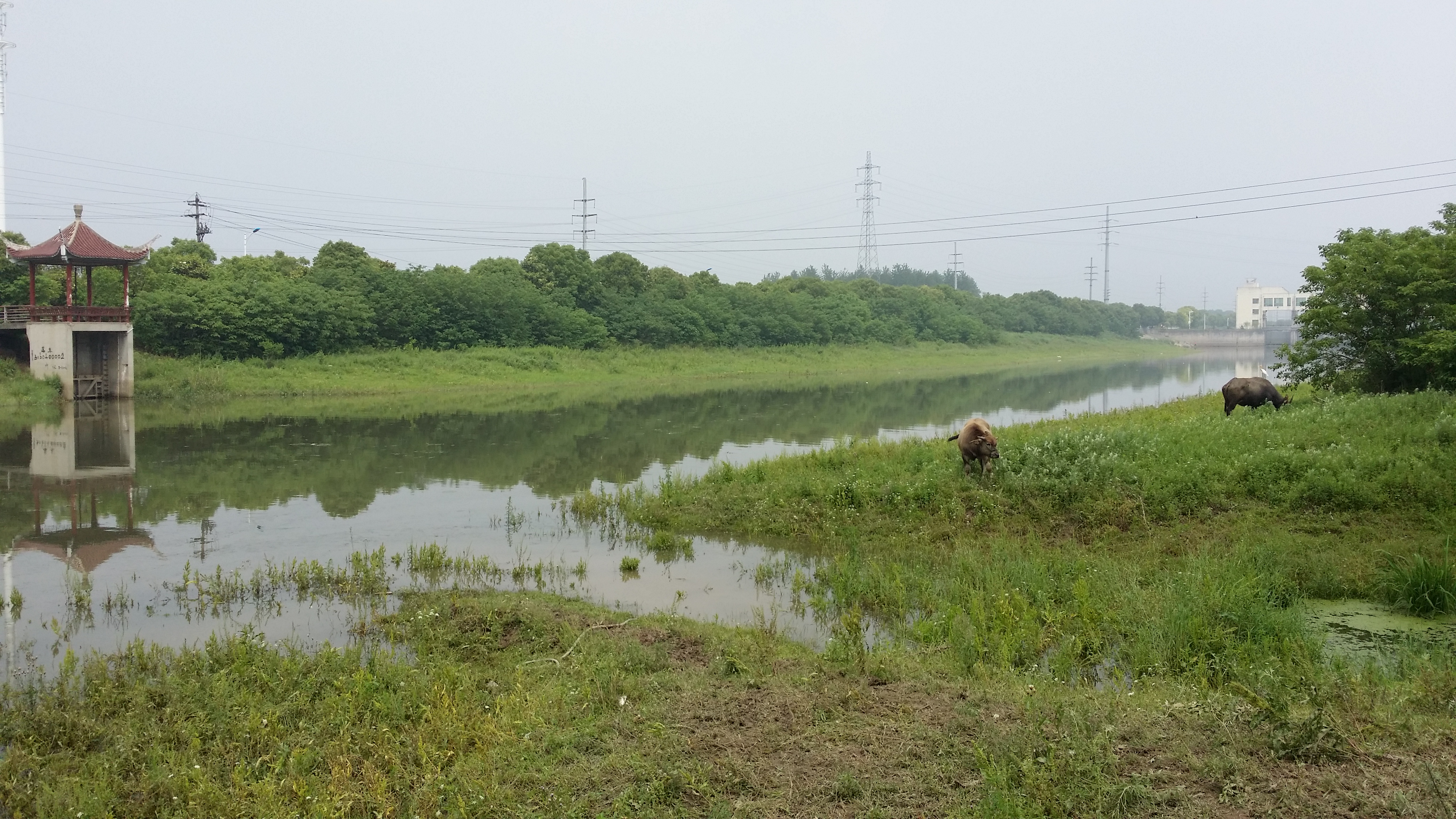胥浦河龙门桥故址.jpg