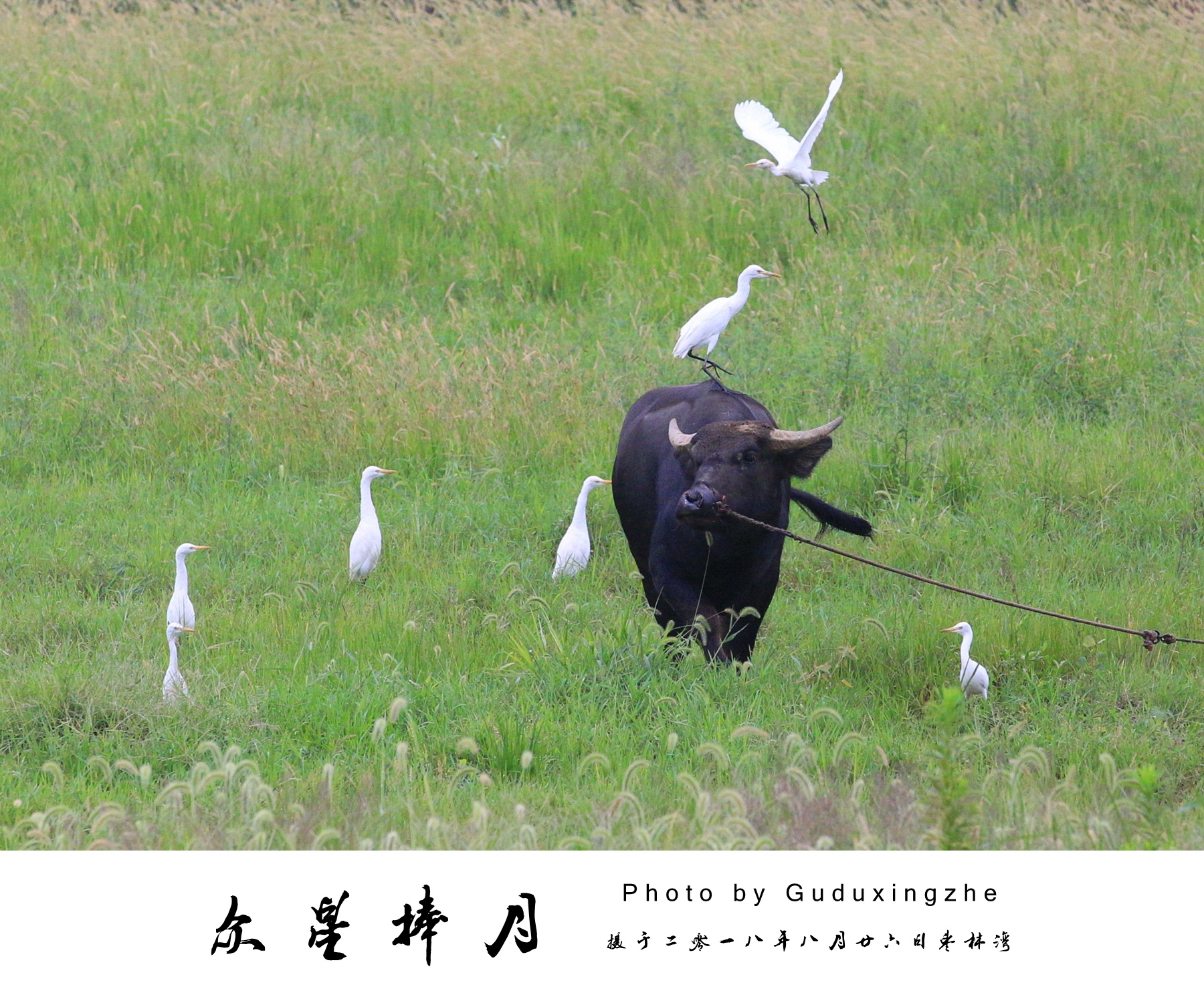 IMG_1949_副本.jpg
