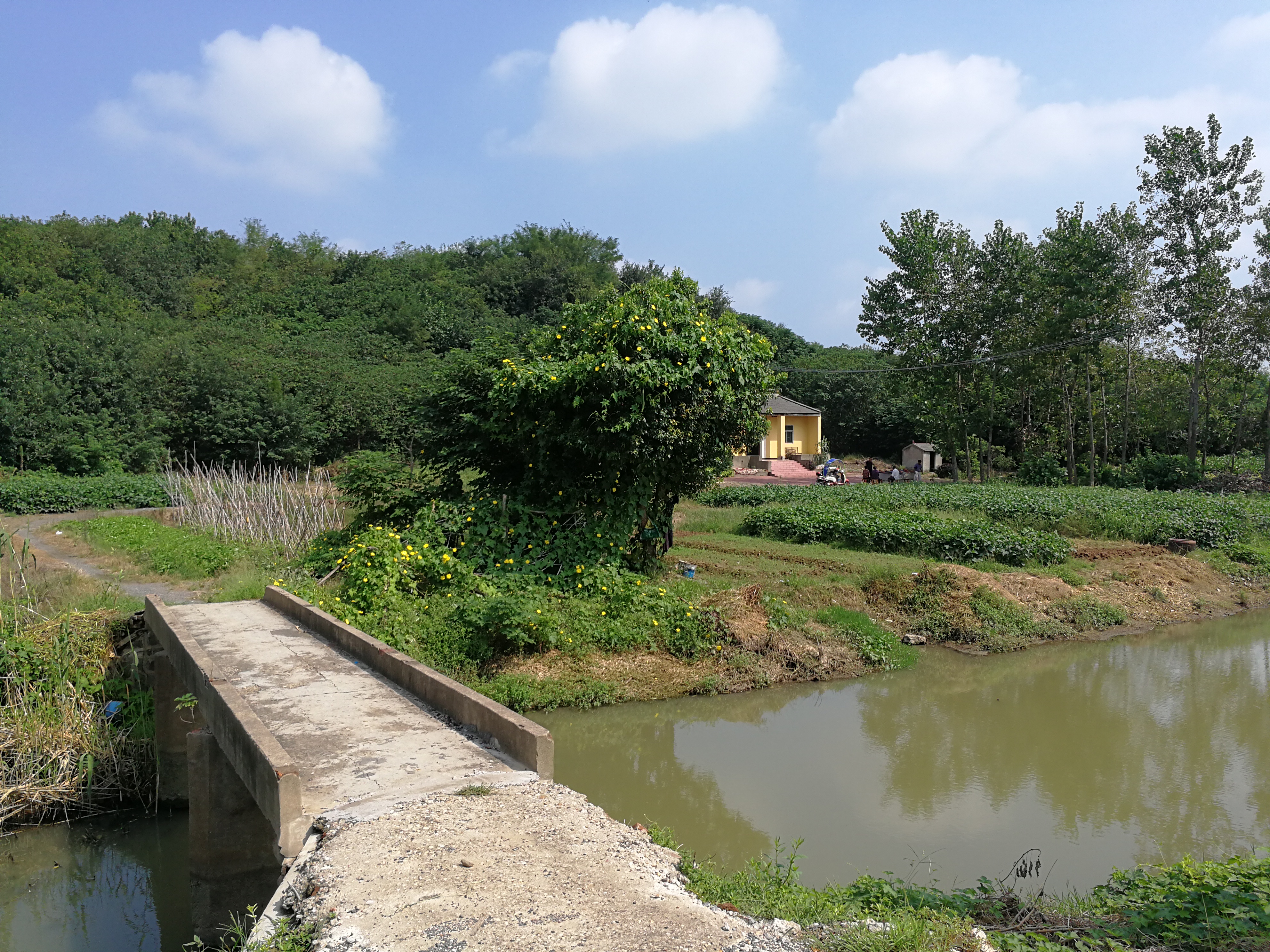 小桥.jpg