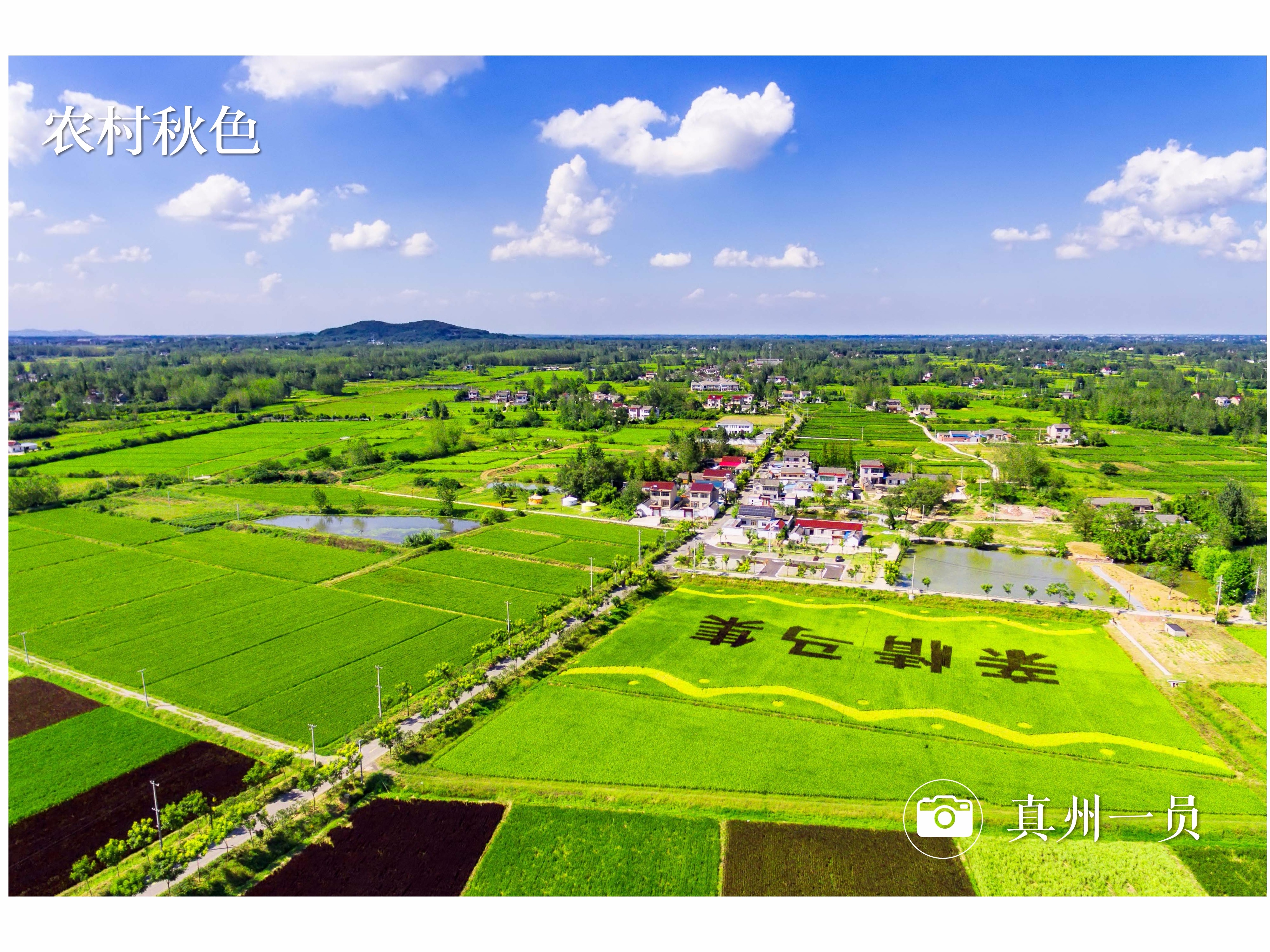 DJI_0002-1_mix01.jpg