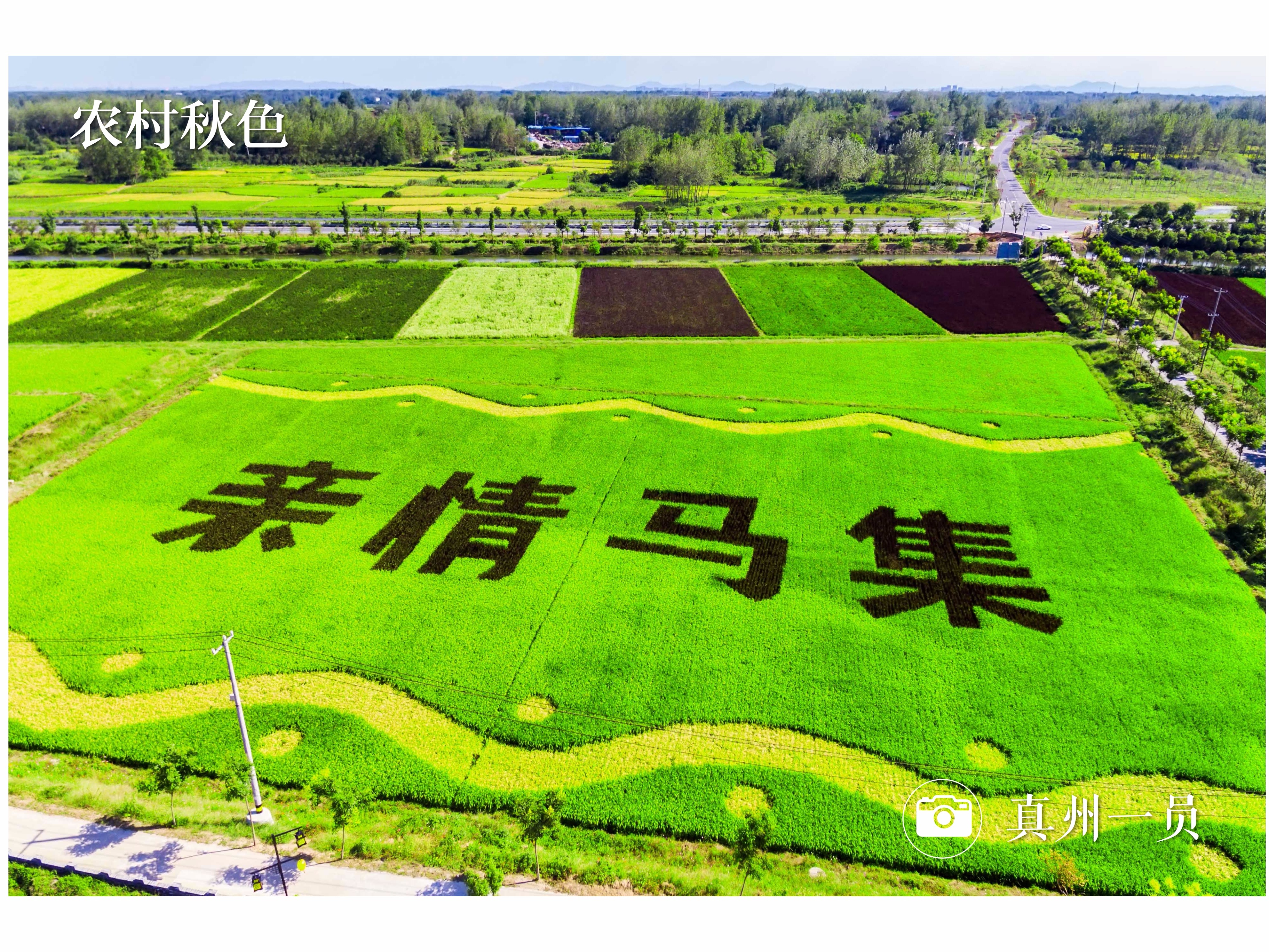 DJI_0004-1_mix01.jpg