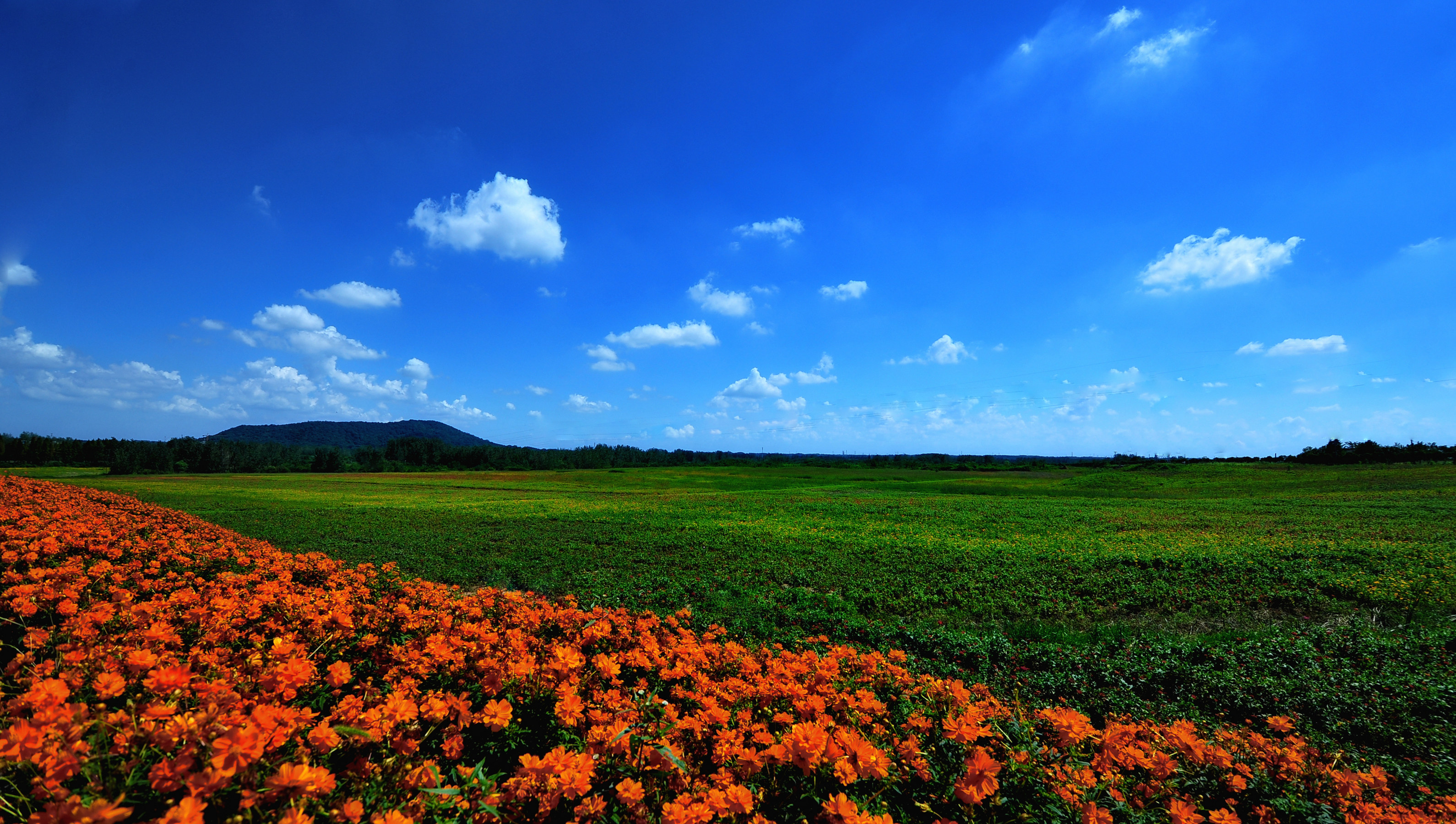 DSC_2849_副本.jpg