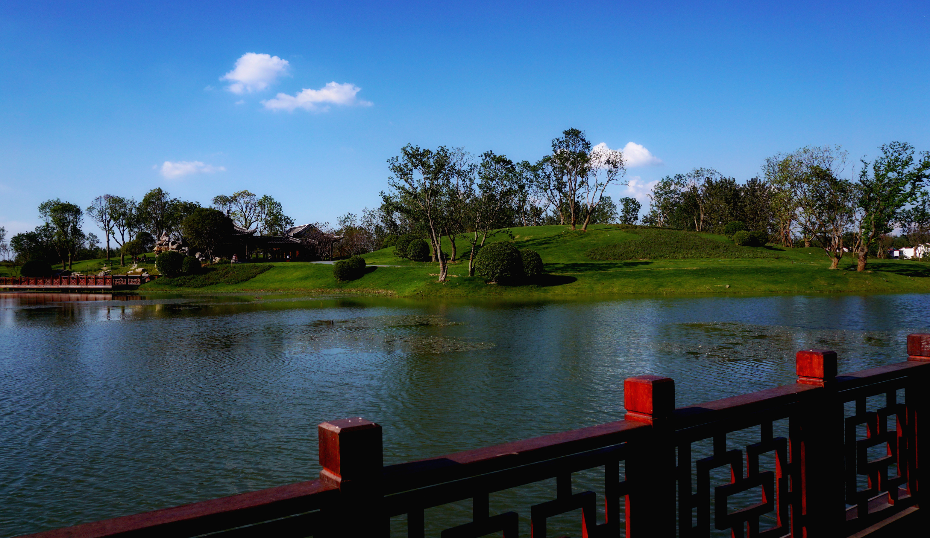 DSC04678_副本.jpg