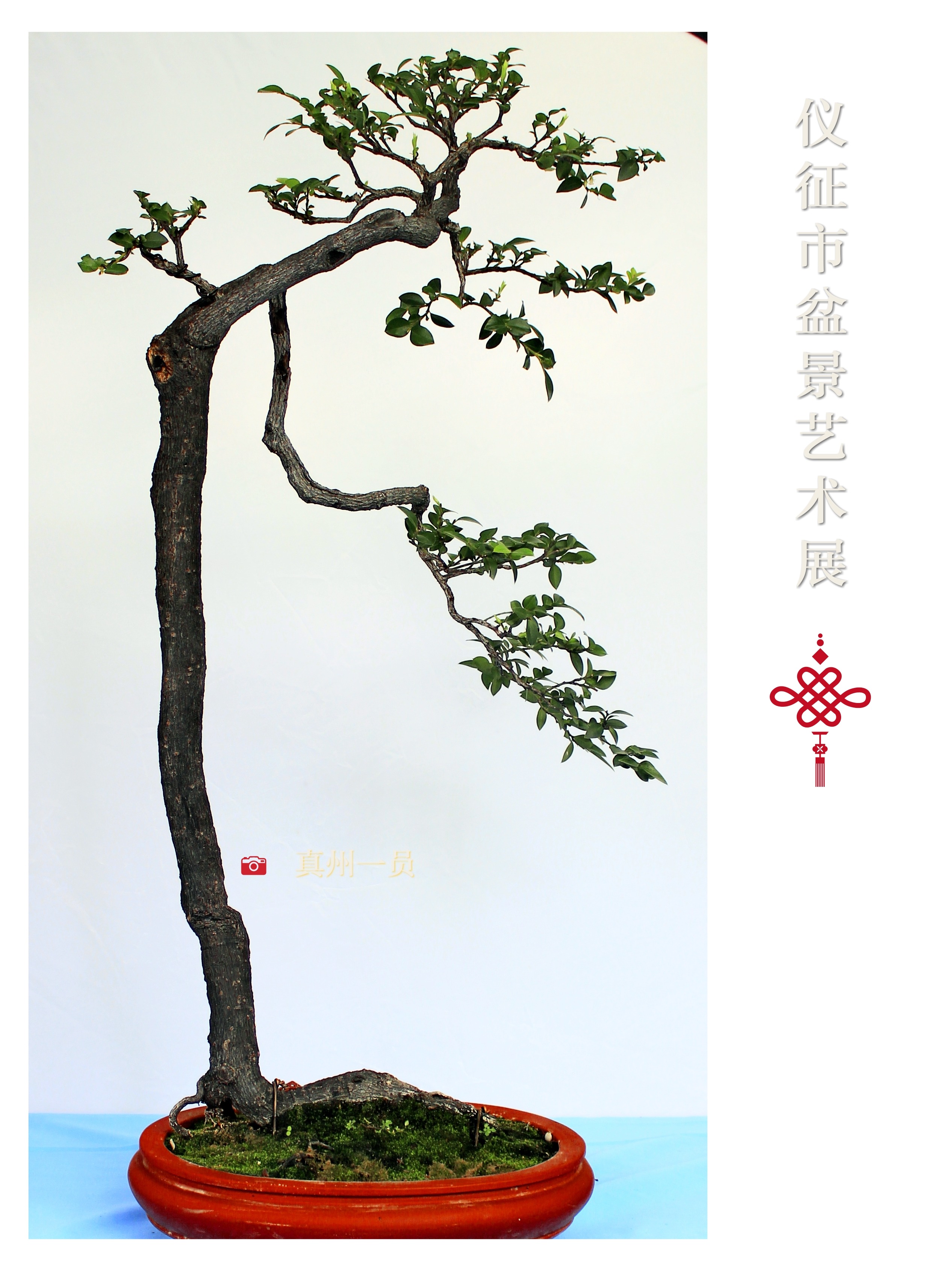 _MG_6763_mix01.jpg